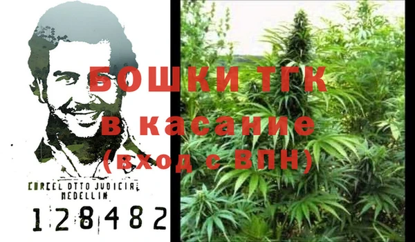 PSILOCYBIN Балахна