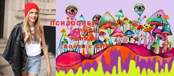 стаф Белоозёрский