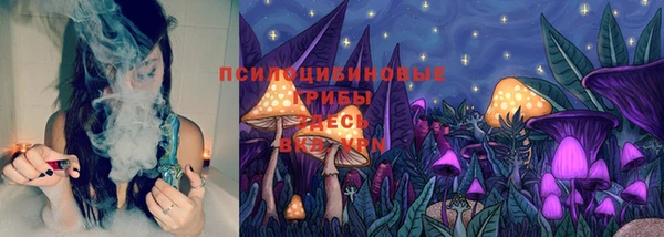 spice Баксан